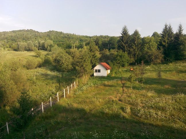 Strada 13 Decembrie, Slănic 106200, România