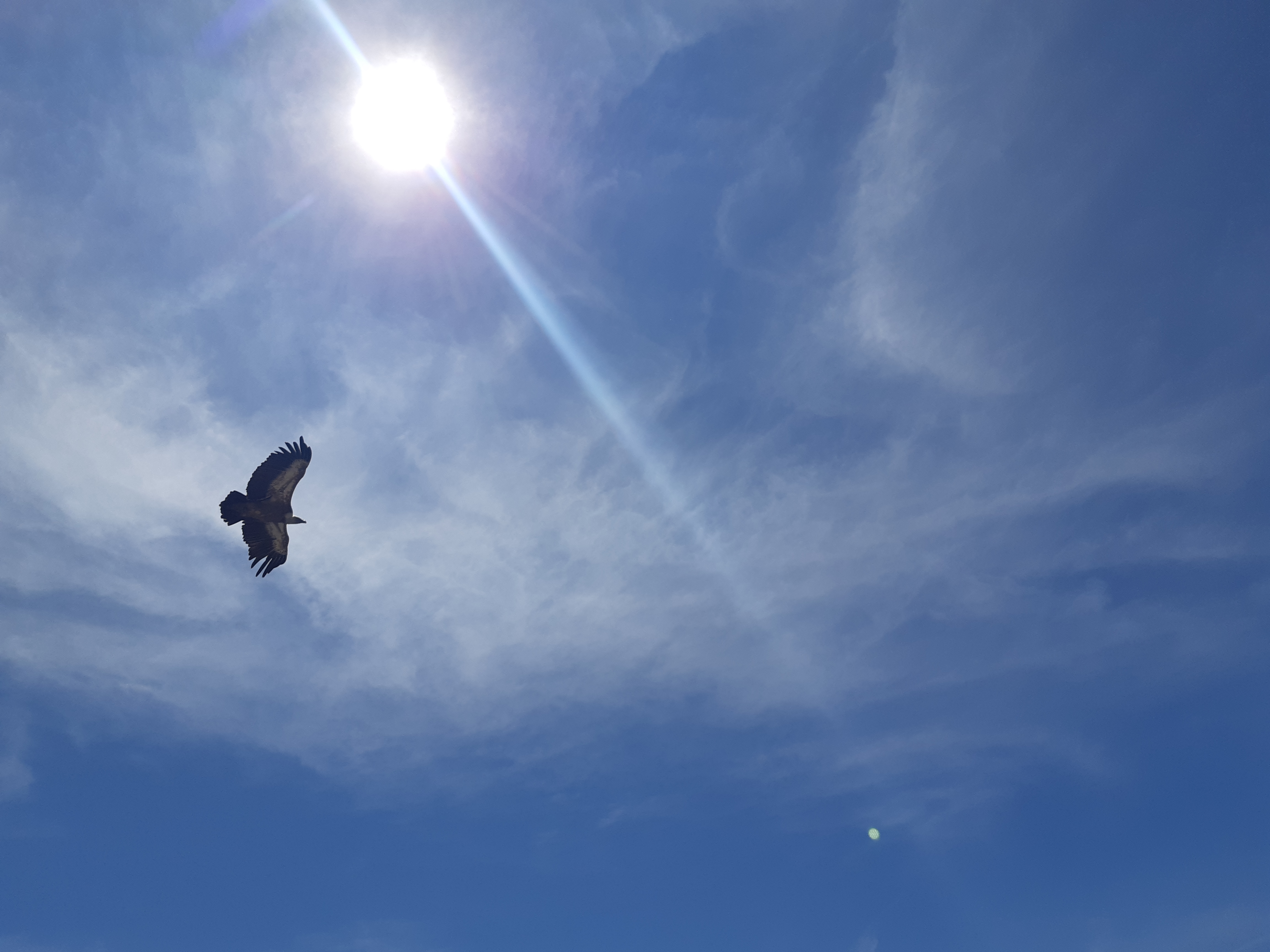 Photo n° 1 de l'avis de Myriam.e fait le 10/08/2023 à 05:28