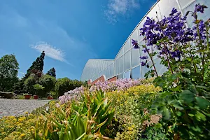 Botanical Garden Teplice image