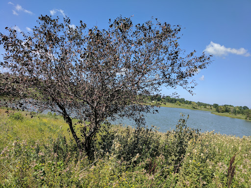 Park «Centennial Park», reviews and photos, 7800 W 171st St, Tinley Park, IL 60487, USA