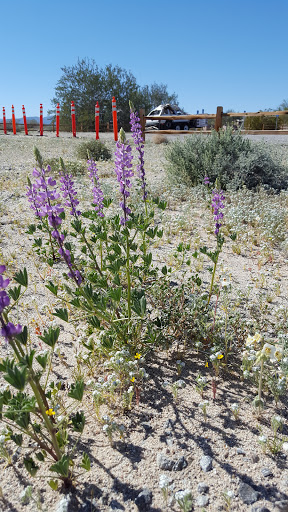 Ocotillo Wells Ranger Station image
