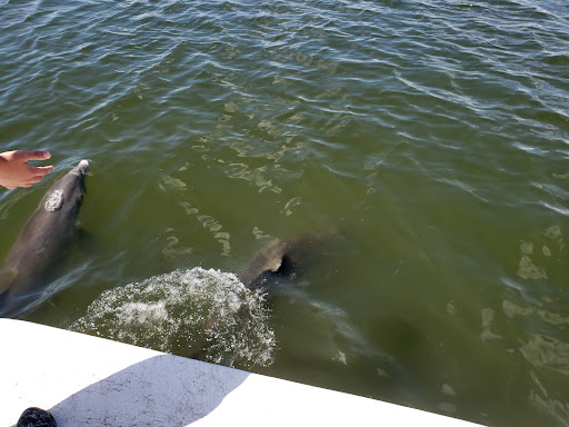 Boat Tour Agency «Good Time Charters», reviews and photos, 4765 Estero Blvd, Fort Myers Beach, FL 33931, USA