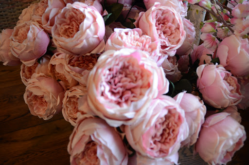 Florist «Country Squire Florist, Inc.», reviews and photos, 9601 Shelbyville Rd, Louisville, KY 40223, USA