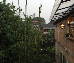 The PAON International Restaurant photo