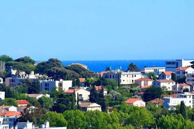 Céline Manchon - Safti Immobilier Ollioules à Ollioules