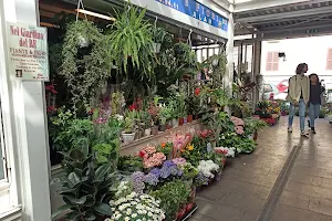 Testaccio market image