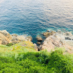 Photo n°1 de l'avis de Ilenia.a fait le 07/08/2018 à 23:51 sur le  Il Sassoscritto à Livorno