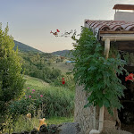 Photo n° 1 de l'avis de Béatrice.o fait le 17/07/2023 à 10:01 pour La Gîtée du Pain à Le Crestet