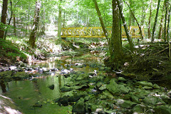 Shallow Ford Natural Area