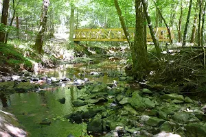 Shallow Ford Natural Area image