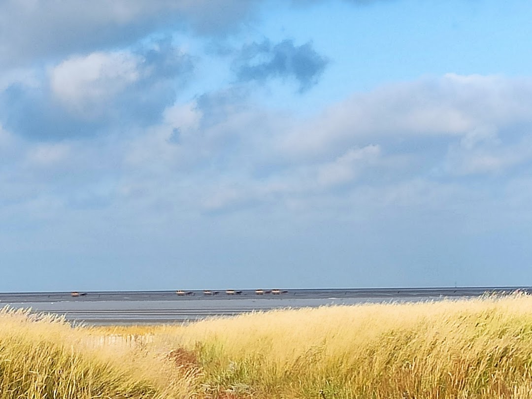 Spanner fimt am FKK Strand.