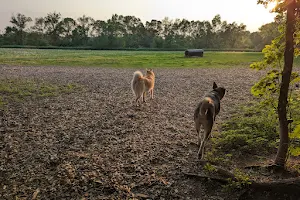 Dakota Woods Dog Park image