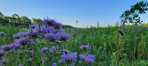 Nature Preserve «Hoover Forest Preserve», reviews and photos, 11285 W Fox Rd, Yorkville, IL 60560, USA