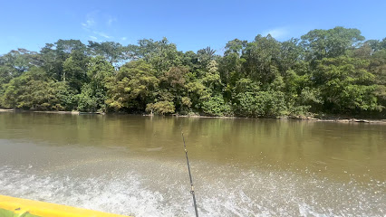 Rio Guamuez