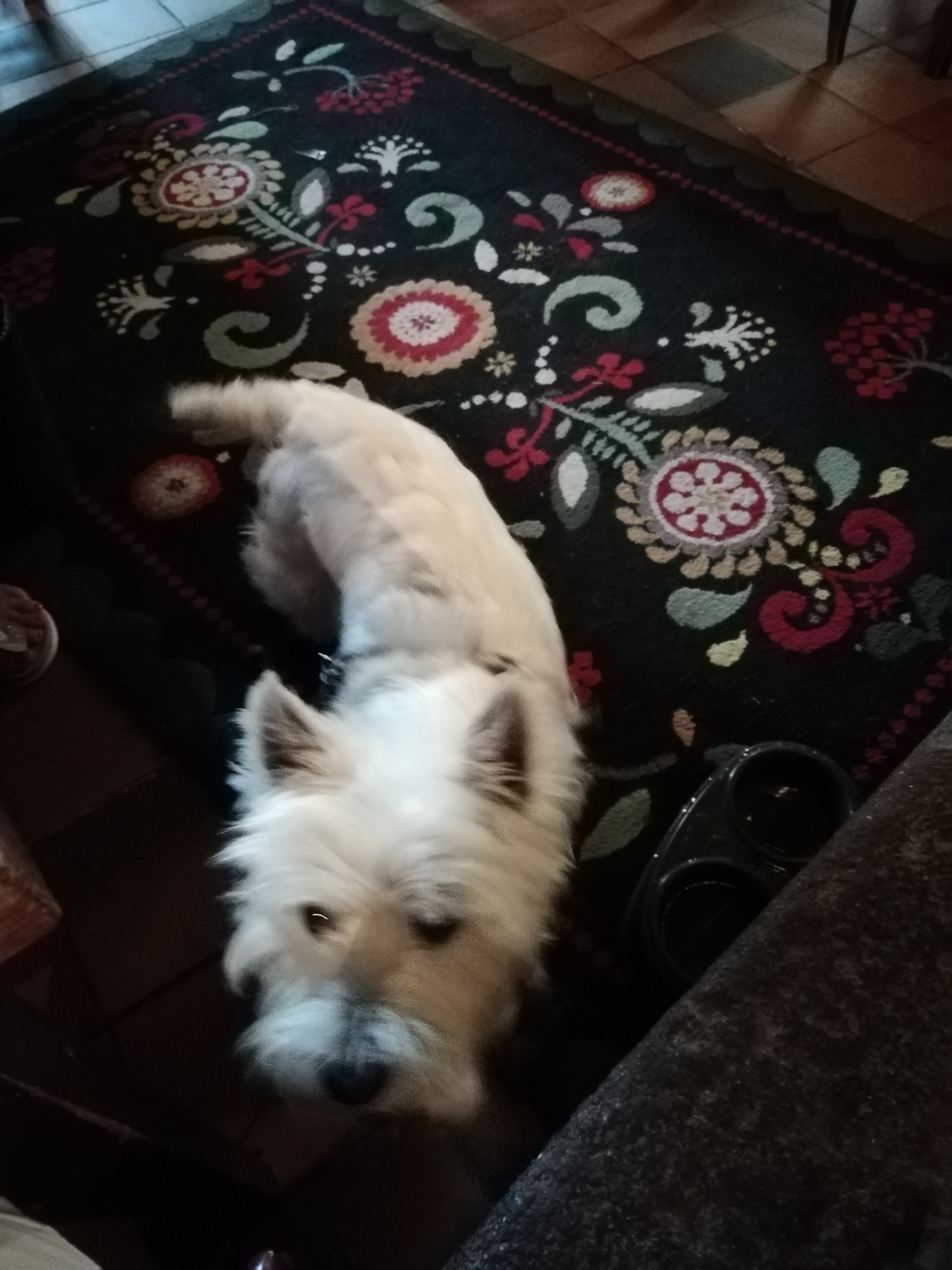 Photo n° 5 de l'avis de Clémence.E fait le 11/07/2018 à 12:00