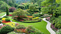 Dragonetti Brothers Landscaping