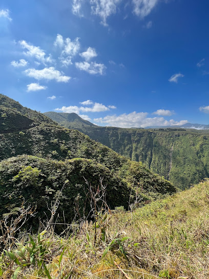 Kohala Watershed Forest Reserve