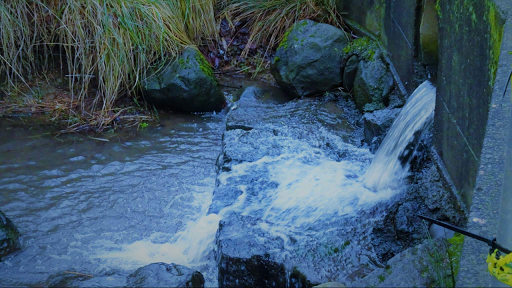 Park «Hillendale Park», reviews and photos, 19260 Clairmont Way, Oregon City, OR 97045, USA