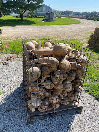 Produce Market «Kroul Farms», reviews and photos, 245 IA-1, Mt Vernon, IA 52314, USA