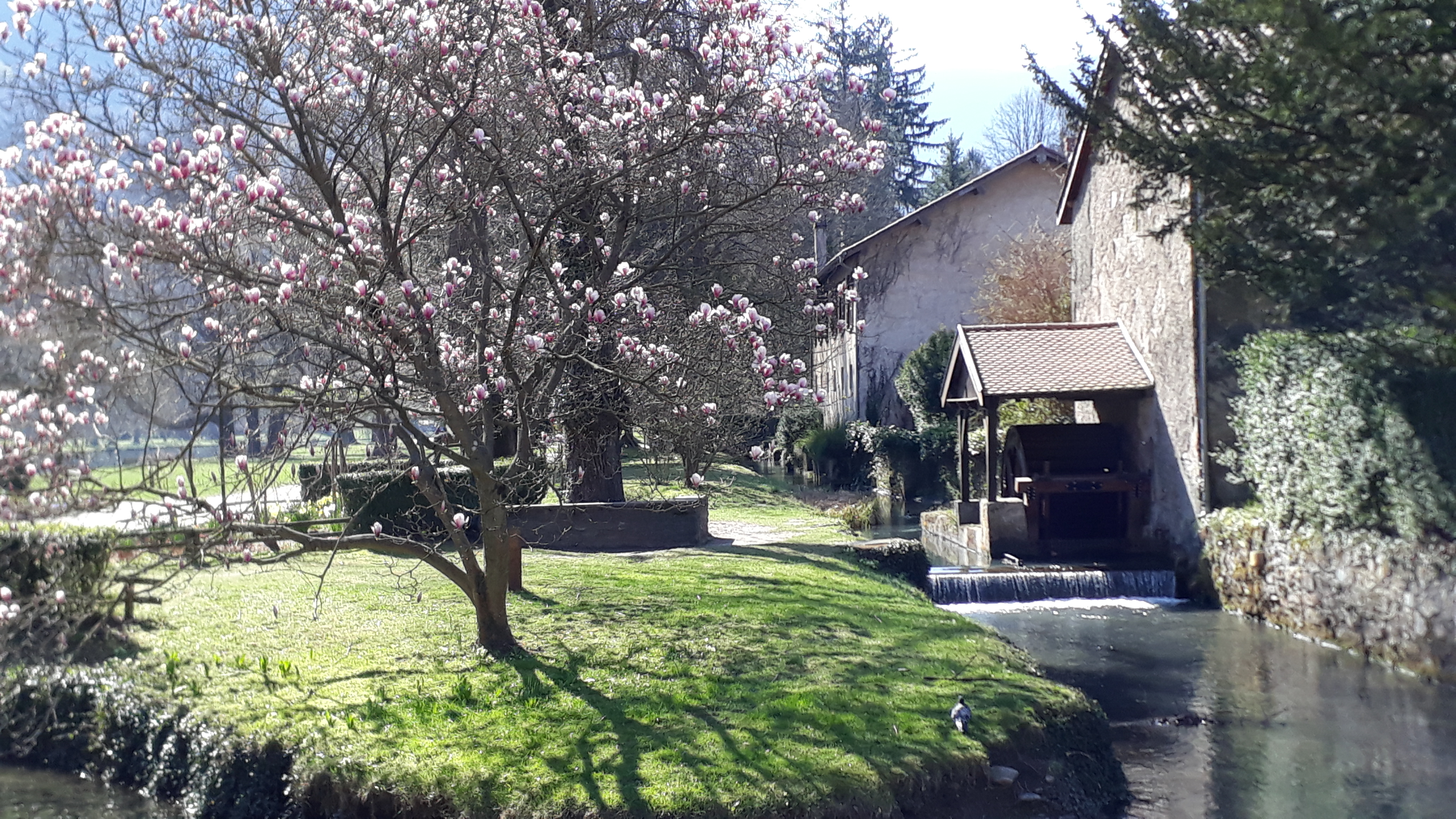 Photo n° 1 de l'avis de Dominique.a fait le 06/04/2019 à 16:29