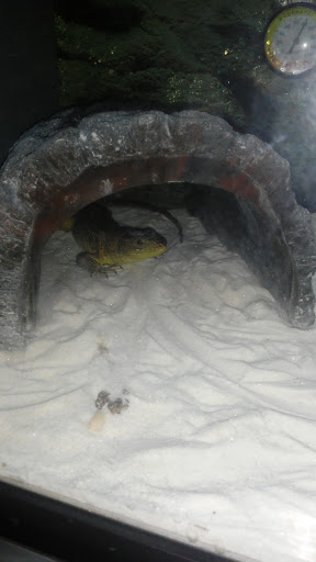 Pet Supply Store «Petco Animal Supplies», reviews and photos, 280 Kensington Blvd, Slidell, LA 70458, USA