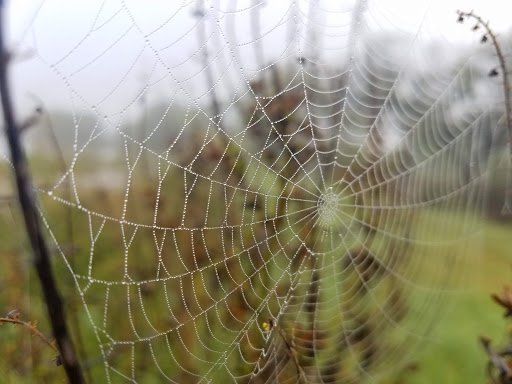 Park «Northwest Community Park», reviews and photos, 8575 Blue Mound Rd, Fort Worth, TX 76137, USA