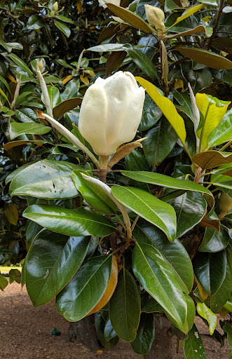 Park «Thrasher Park», reviews and photos, 93 Park Dr, Norcross, GA 30071, USA