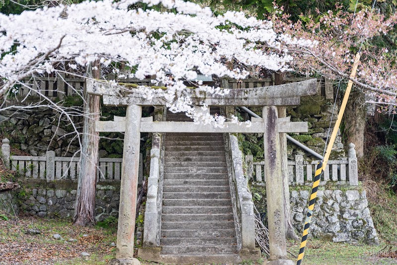 金竜山農村公園