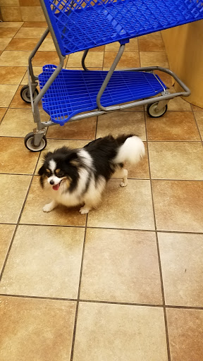 Pet Supply Store «PetSmart», reviews and photos, 104 TX-332, Lake Jackson, TX 77566, USA