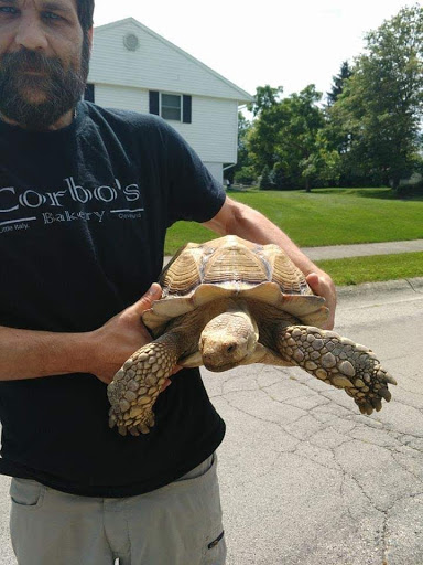 Pet Supply Store «PetSmart», reviews and photos, 1705 N Bechtle Ave, Springfield, OH 45504, USA