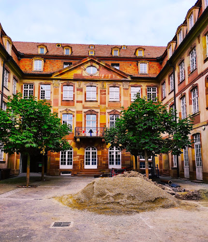Collège épiscopal Saint-Étienne - École primaire à Strasbourg