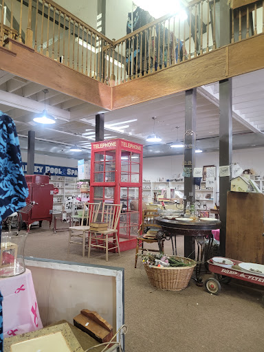 Pink City Thrift Store & Nursery