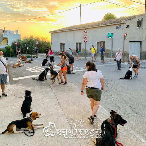 DEQUIRESA | Adiestramiento Canino en Murcia & Residencia Canina