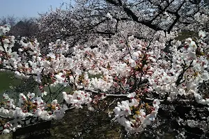 Nakanoike Park image