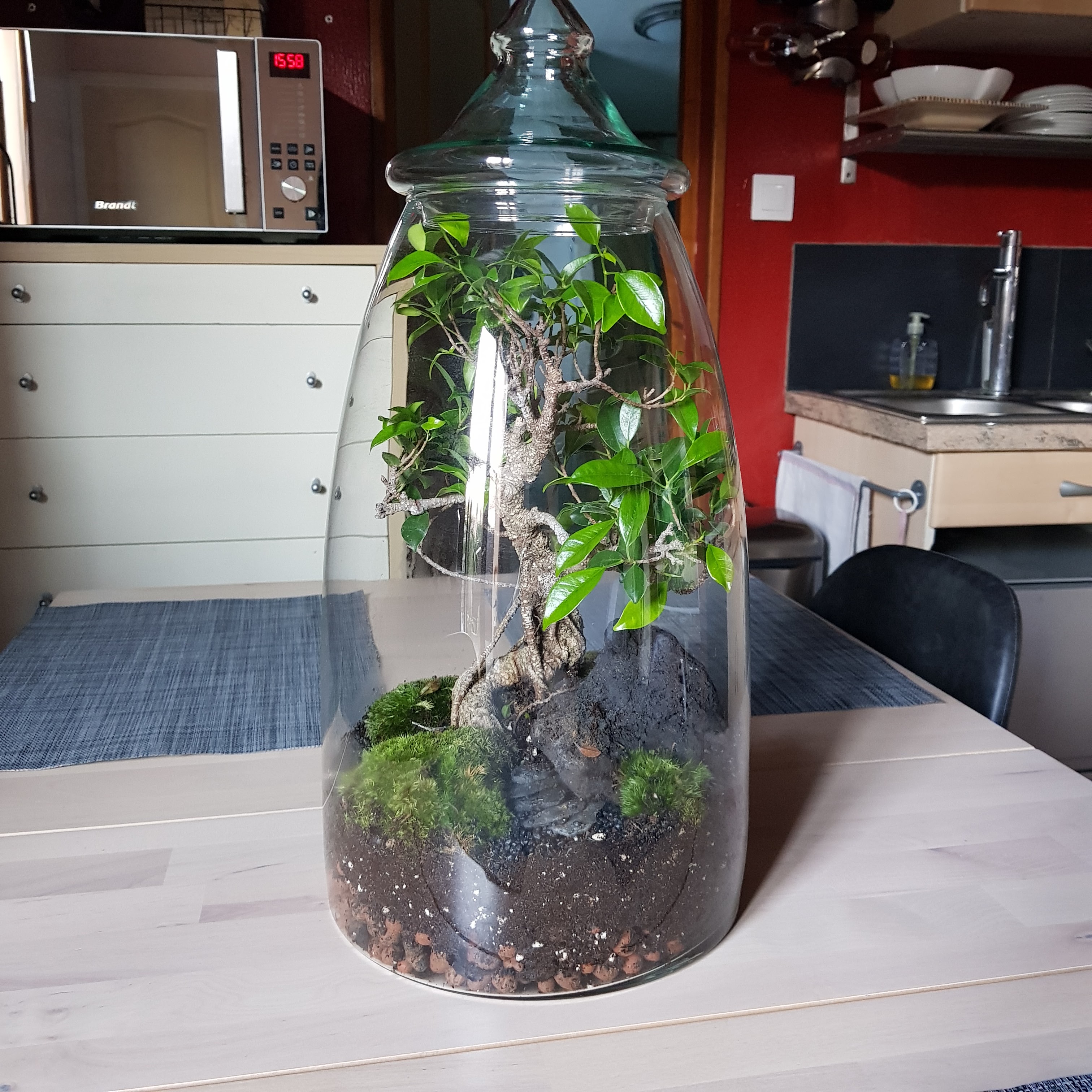 Photo n° 1 de l'avis de Philippe.g fait le 12/02/2022 à 14:59