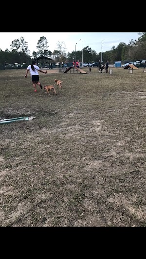 Fort Stewart Dog Park - photo 8