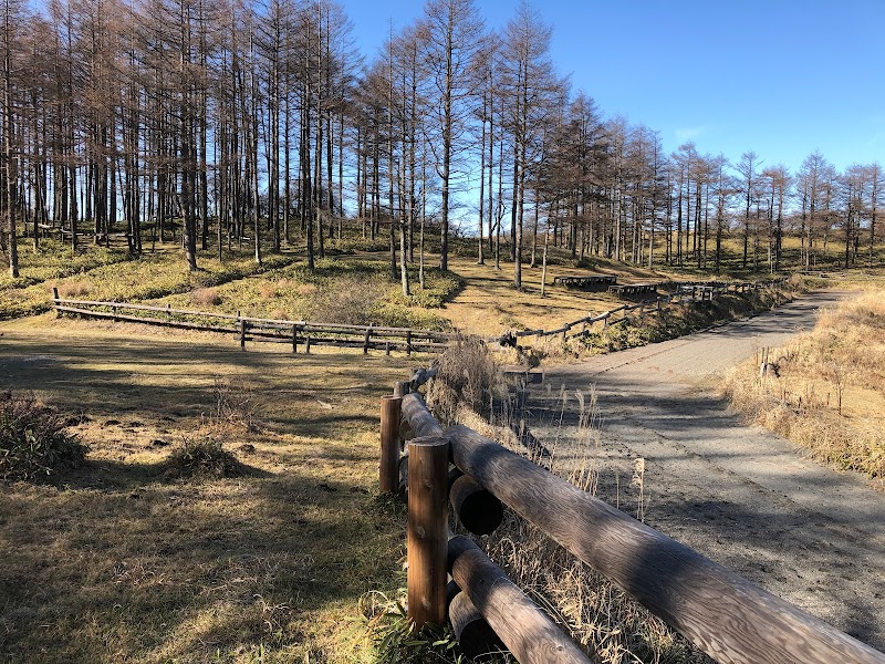 高ボッチ高原 草競馬場