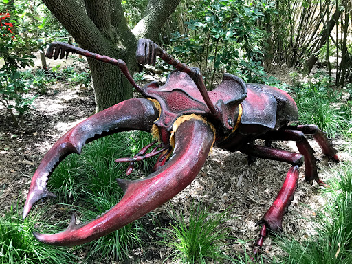 Zoo «Houston Zoo - West Gate», reviews and photos, 1467 Cambridge St, Houston, TX 77030, USA