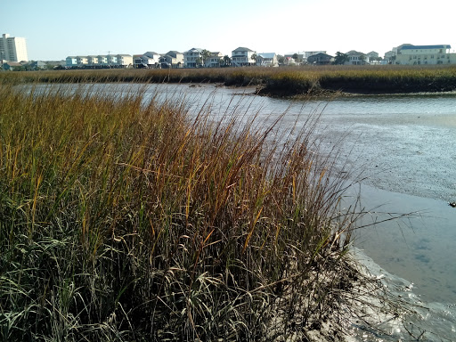 Park «Sanford D. Cox, Sr. Community Park», reviews and photos, 470 Elizabeth Dr, Murrells Inlet, SC 29576, USA