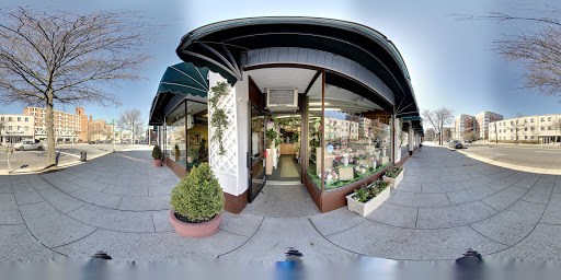 Florist «Blossom Flower Shops», reviews and photos, 275 Mamaroneck Ave, White Plains, NY 10605, USA