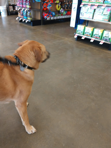 Pet Supply Store «Pet Supplies Plus», reviews and photos, 17205 S Golden Rd, Golden, CO 80401, USA