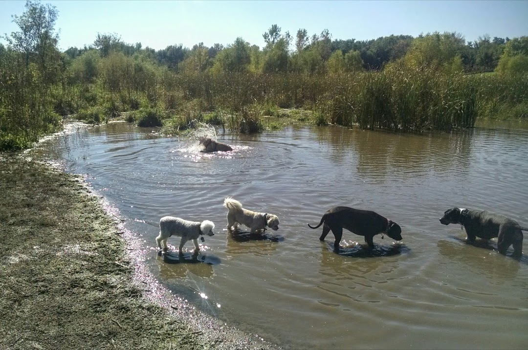 Elm Creek Park Reserve - Dog Off-leash Area