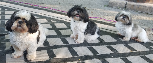 Pet Supply Store «PetSmart», reviews and photos, 1460 Koester Rd, Forsyth, IL 62535, USA