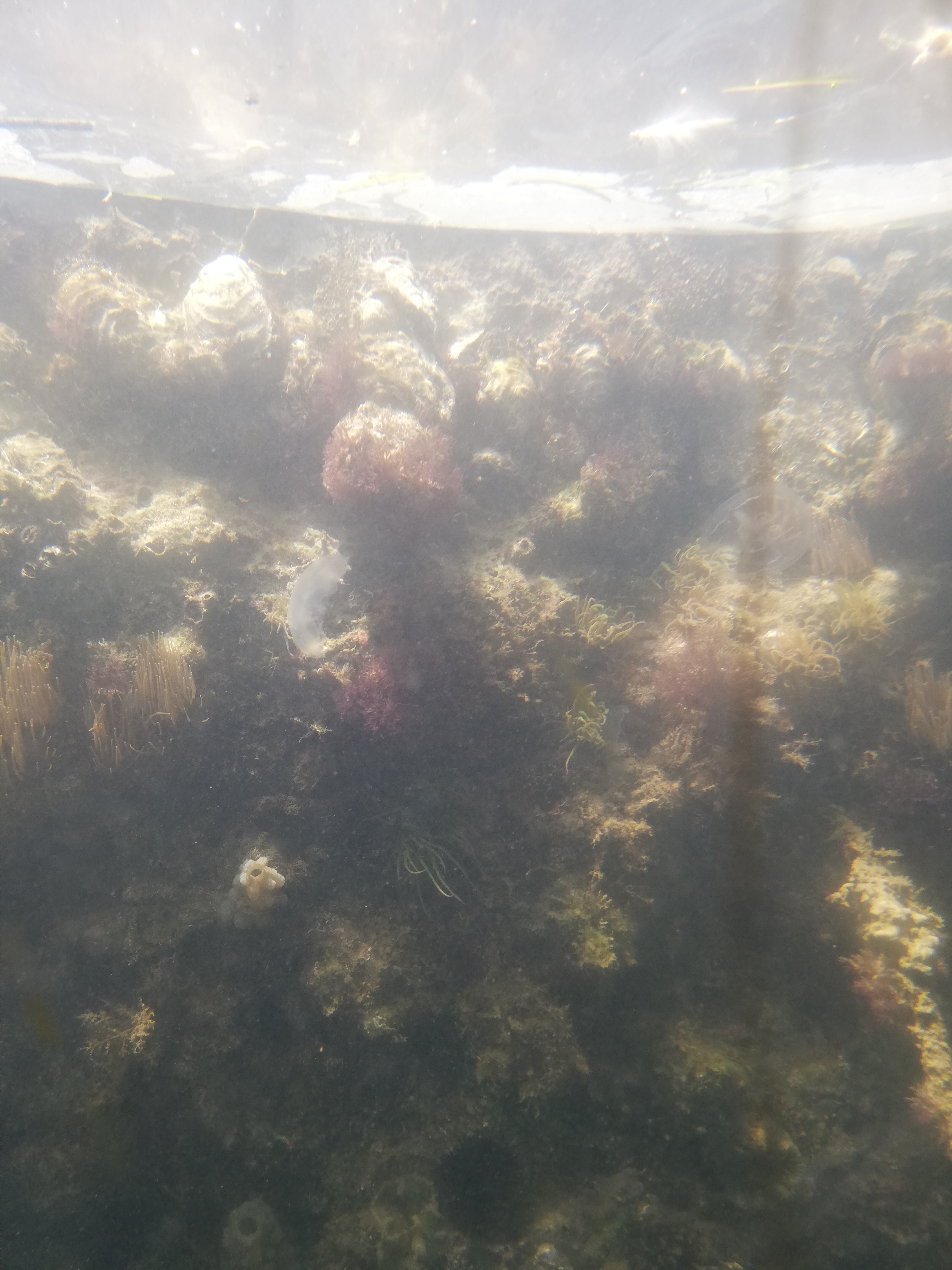 Photo n° 30 de l'avis de Schout.a fait le 15/07/2019 à 09:52
