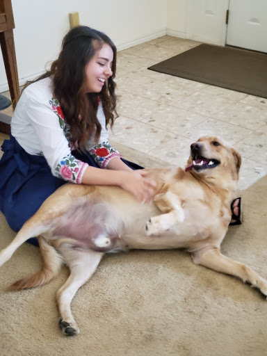 Red Hills Animal Hospital image