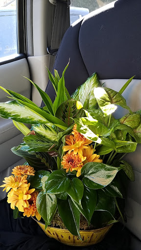 Florist «GCG Flowers», reviews and photos, 71 Kilmayne Dr, Cary, NC 27511, USA