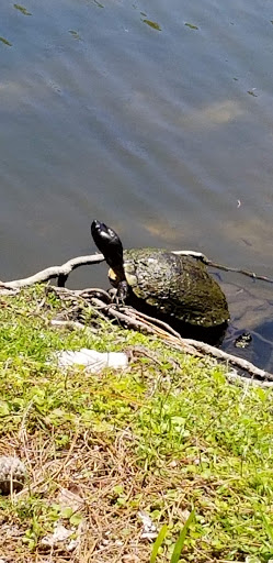 Zoo «Gulf Breeze Zoo», reviews and photos, 5701 Gulf Breeze Pkwy, Gulf Breeze, FL 32563, USA