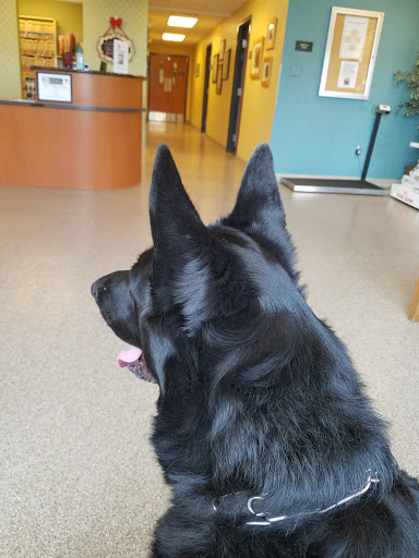 Midlothian Animal Clinic