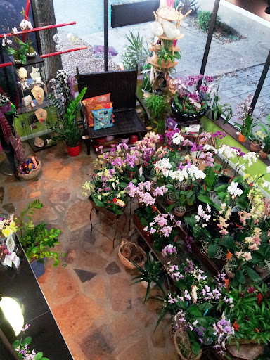 Florist «Natural Orchids Boutique», reviews and photos, 10129 SW 72nd St, Miami, FL 33173, USA