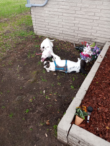 Pet Supply Store «PetSmart», reviews and photos, 4045 Dowlen Rd, Beaumont, TX 77706, USA